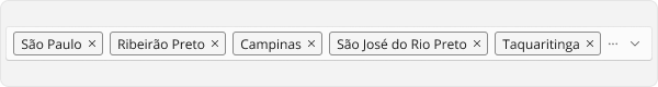MultiSelectField - Exemplo - Múltiplos Chips